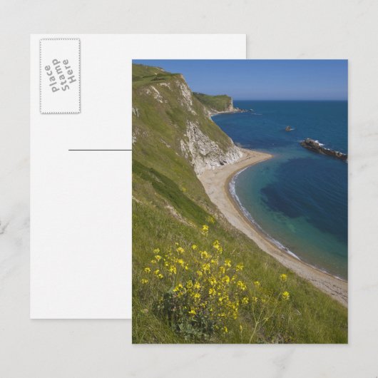 Man of War Bay, Jurassic Coast, Lulworth, Dorset, Briefkaart (Voorkant / Achterkant)