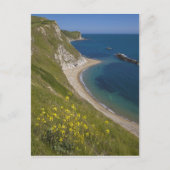 Man of War Bay, Jurassic Coast, Lulworth, Dorset, Briefkaart (Voorkant)