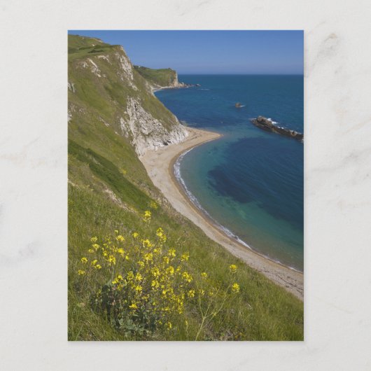 Man of War Bay, Jurassic Coast, Lulworth, Dorset, Briefkaart (Voorkant)