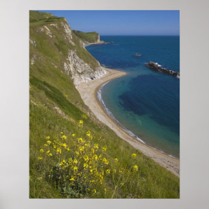 Man of War Bay, Jurassic Coast, Lulworth, Dorset, Poster