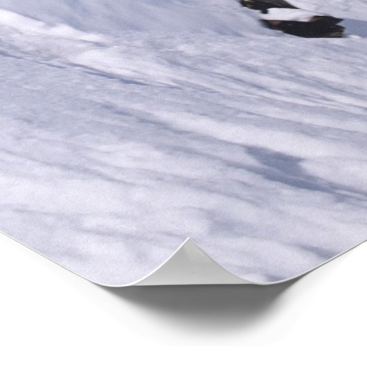 Man op een snowboard die van een kraanhuis springt poster (Hoek)