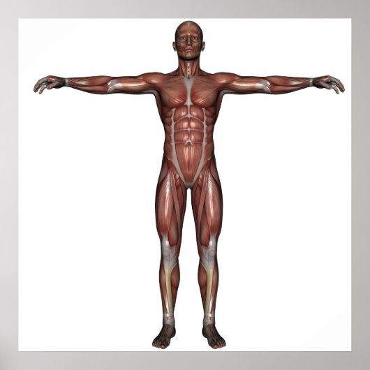 Man poster (Voorkant)