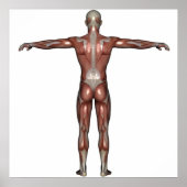 Man poster (Voorkant)