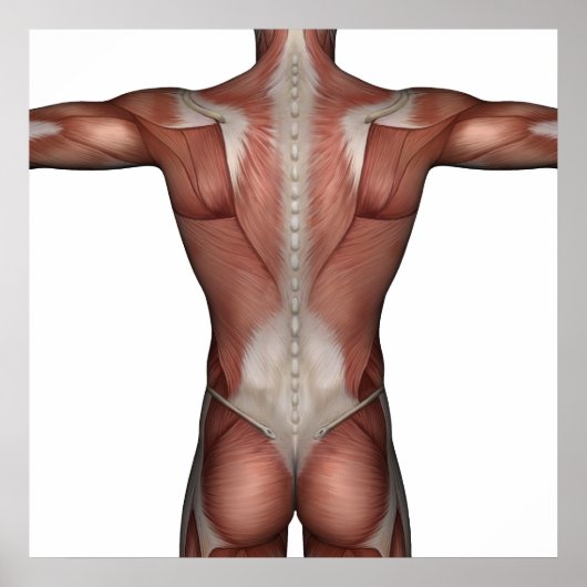 Man poster (Voorkant)