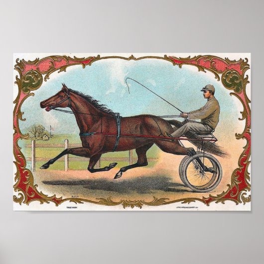 Man Ridderpaarden op wielen met  paardenraces Poster (Voorkant)