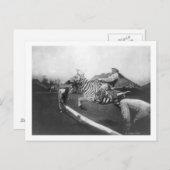 Man Riding Zebra — Afsluitingsfoto Briefkaart (Voorkant / Achterkant)