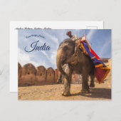 Man rijden olifant bij Amber Palace Jaipur Briefkaart (Voorkant / Achterkant)