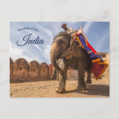 Man rijden olifant bij Amber Palace Jaipur Briefkaart (Voorkant)