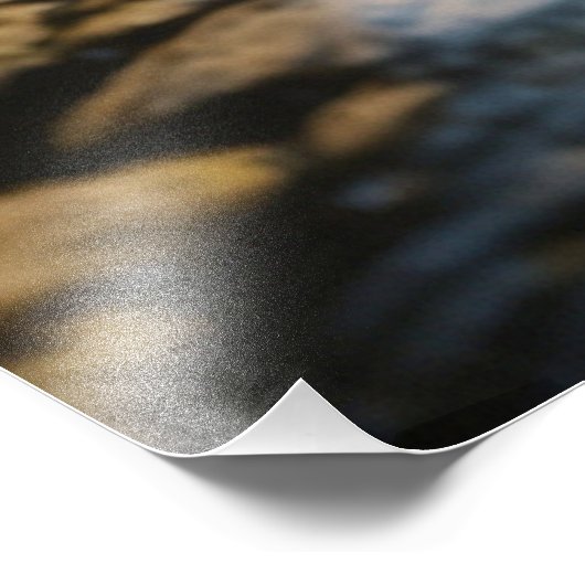 *~* Man Stream Natuur AP49 Vist Foto Afdruk (Hoek)