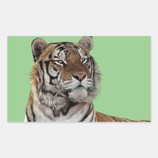Man Tijger Hoofd Dier Wildlife natuur Kunst Rechthoekige Sticker (Voorkant)