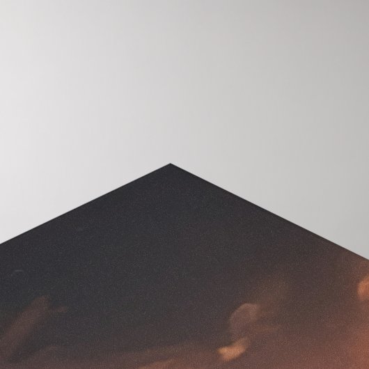 MAN V BEEST CANVAS AFDRUK (Hoek(Top))