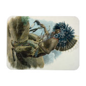 Man van de Mandanijnse stam in het kostuum van Magneet (Horizontaal)