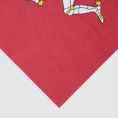 Man vlag tissuepapier (Detail)