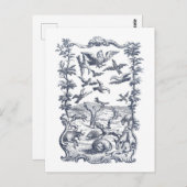 Man, Vogels, en Andere Dieren 1776 Etsen Briefkaart (Voorkant / Achterkant)