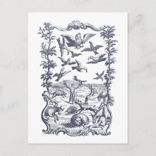 Man, Vogels, en Andere Dieren 1776 Etsen Briefkaart (Voorkant)