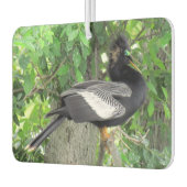 Man (voor) en Vrouw (achter) Anhinga Luchtverfrisser (Links)