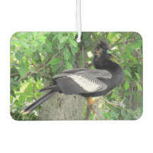 Man (voor) en Vrouw (achter) Anhinga