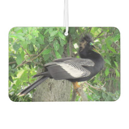 Man (voor) en Vrouw (achter) Anhinga Luchtverfrisser