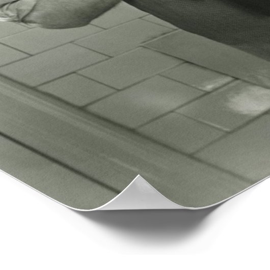 Man Washing Dishes Poster (Hoek)