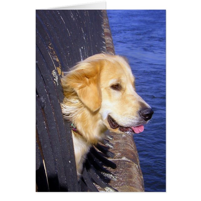 MAN..... WENS IK WEET HOE IK MOET SCHUWEN! (Voorkant)