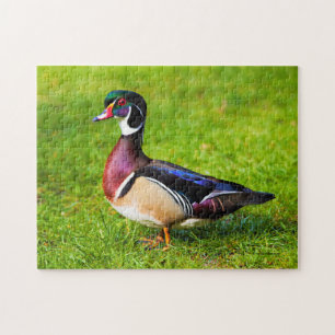 Man Wood Duck op Grass Legpuzzel