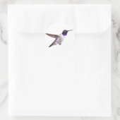 Man Zwart-chinned kolibrie sticker (Tas)