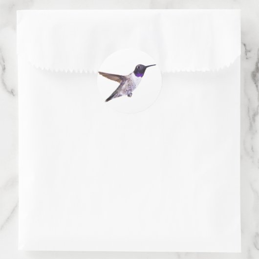 Man Zwart-chinned kolibrie sticker (Tas)