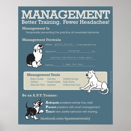 Management Poster (Voorkant)