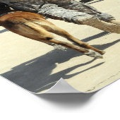 Managers van de militaire werkhond nemen een opte  poster (Hoek)