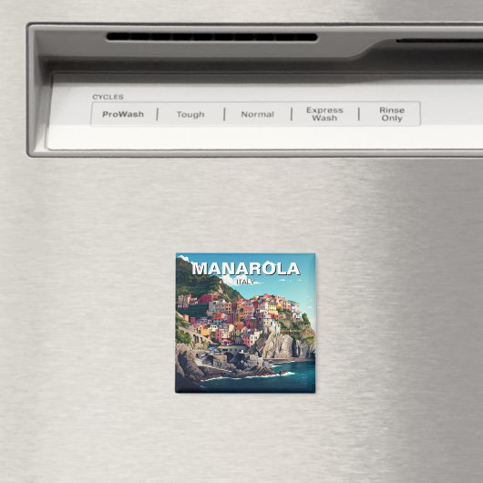 Manarola, Cinqua Terra Magnet (Insitu (Vaatwasser))