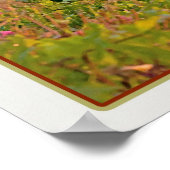 Manarola Vineyard Harbour - op wit Poster (Hoek)