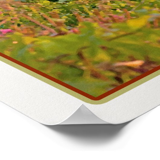 Manarola Vineyard Harbour - op wit Poster (Hoek)