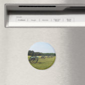 Manassas-slagveld - Burgeroorlog Magneet (Insitu (Vaatwasser))