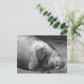 Manatee BW0196 "Heb je een bek nodig?" Briefkaart (Staand voorkant)