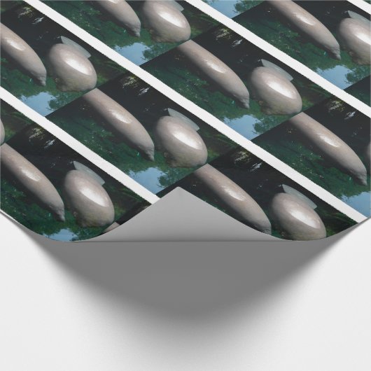 Manatee Cadeaupapier (Hoek)