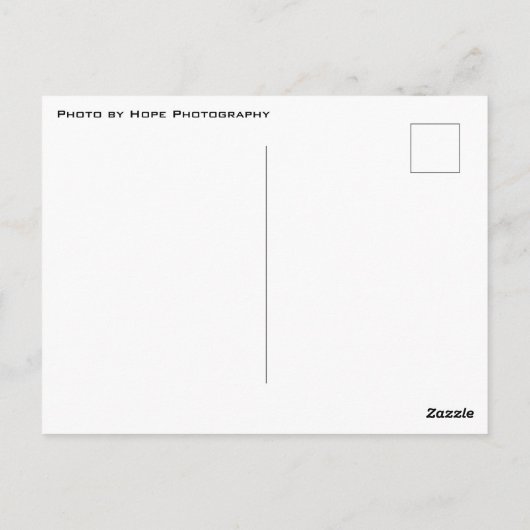 Manatee Crystal River Florida Briefkaart (Achterkant)