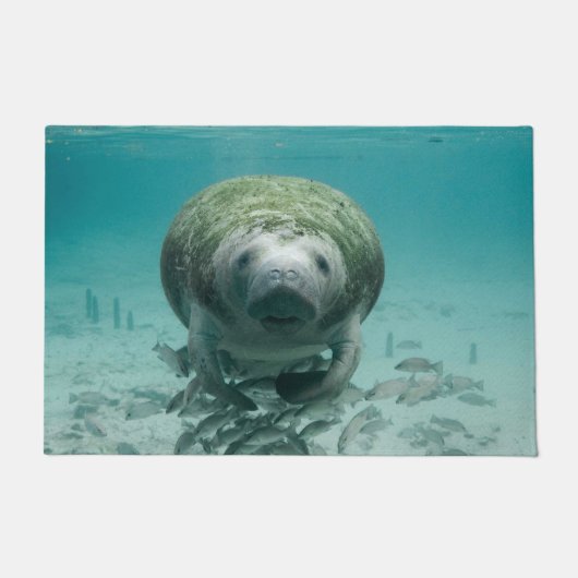 Manatee Deurmat (Voorkant)