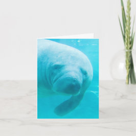 Manatee Digitale Kunst "oh hi" Kaart