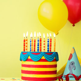 Manatee en ballonnen aangepaste verjaardagsfeestje feesthoedjes