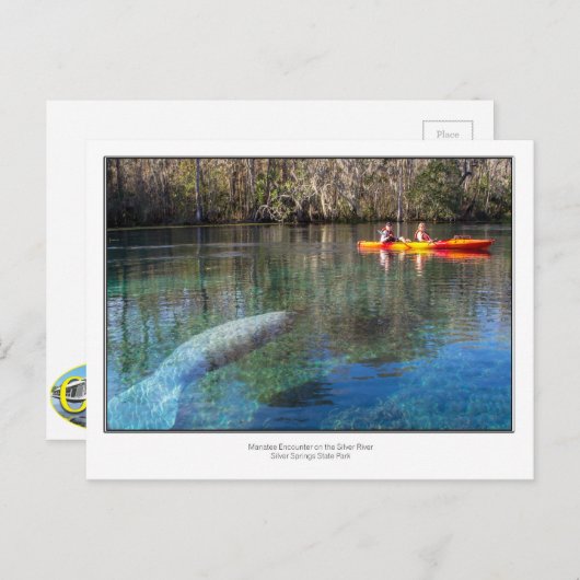 Manatee Encounter Briefkaart (Voorkant / Achterkant)