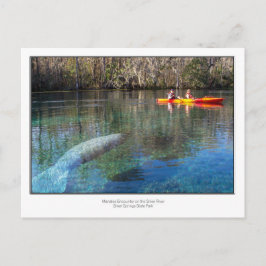 Manatee Encounter Briefkaart