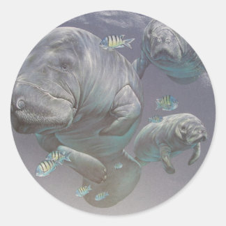 Manatee Family Ronde Sticker