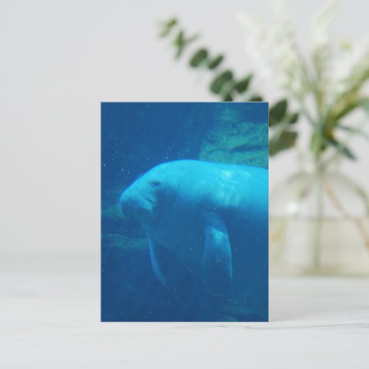 Manatee Floating Briefkaart (Staand voorkant)