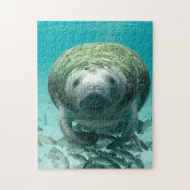 Manatee Florida. Legpuzzel