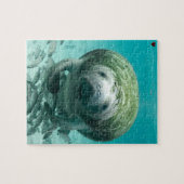 Manatee Florida Legpuzzel (Horizontaal)