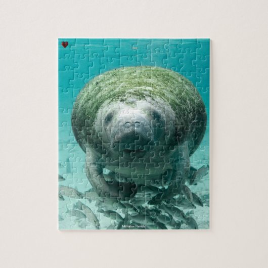 Manatee Florida Legpuzzel (Verticaal)