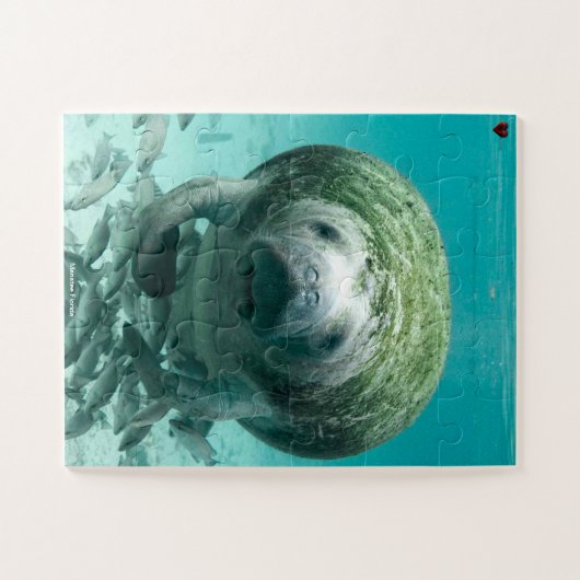 Manatee Florida Legpuzzel (Horizontaal)