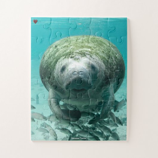 Manatee Florida Legpuzzel (Verticaal)