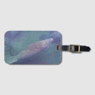Manatee Florida Swimming Photo Cute Bagagelabel