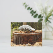 Manatee Fountain Briefkaart (Staand voorkant)